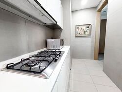 Skyline Residences (D4), Condominium #580285231